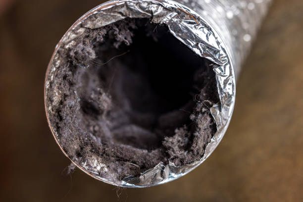  Holland, MI Airduct Cleaning Pros