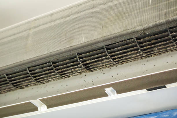 Best Emergency Air Duct Cleaning  in Holland, MI
