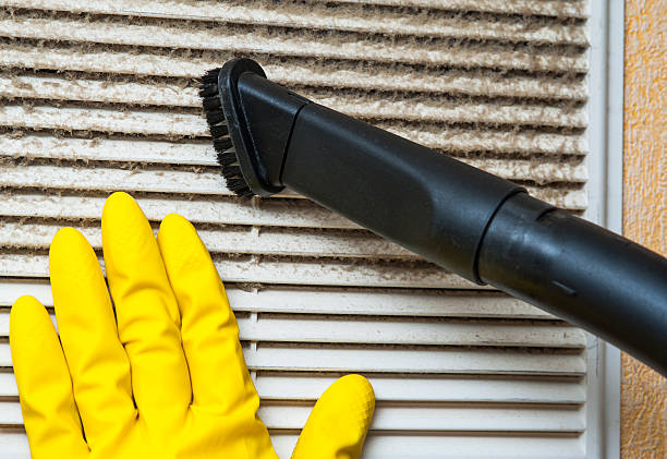 Best Air Duct Cleaning Near Me  in Holland, MI
